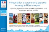 Présentation du panorama agricole Auvergne-Rhône draaf.auvergne-rhone-alpes. ... 2016/06/02  · Agreste - Panorama Auvergne-Rhône-Alpes Des massifs très boisés (p 67) 35 % de