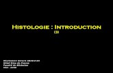 Histologie : Introduction -  

Histologie : Introduction (3) Réalisation Gérard ABADJIAN Hôtel-Dieu de France. Faculté de Médecine. USJ - 2008