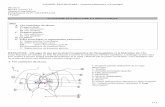 ANATOMIE PULMONAIRE ET · PDF file 2014-07-01 · APPAREIL RESPIRATOIRE – Anatomie pulmonaire et bronchique 04/10/13 BINET Lauren L3 Appareil respiratoire Remplaçante du Pr. CHAMPSAUR