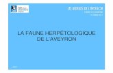 LA FAUNE HERPÉTOLOGIQUE DE L’AVEYRON · PDF file 2017-03-15 · La Tarente de Maurétanie Tarentola mauritanica - espèce méditerranéenne - Millau, Mostuéjouls et Montlaur, milieu