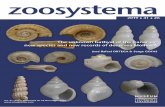 The unknown bathyal of the · PDF file 515 Molluscs in the bathyal of the Canaries ZOOSSTEMA 2019 41 (26) Sciences (lCCM) of the Cabildo Insular of Gran Canaria. From this material,