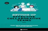 SETTING UP EFFECTIVE COLLABORATIVE TEAMS · PDF file Many projects are like a piece of string. We can do them on a small budget or large budget, and the resourcing makes a big difference