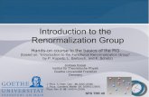 Introduction to the Renormalization kreisel/tr49/student_SS10/talks/Kreisel.pdf 1 Introduction to the Renormalization Group Hands-on course to the basics of the RG (based on: Introduction