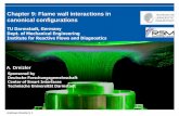 Chapter 9: Flame wall interactions in canonical configurations